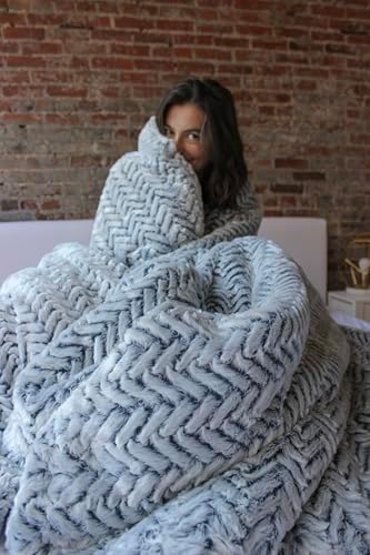 Byourbed Cozy Peaks Chevron Frosted Navy Comforter Set