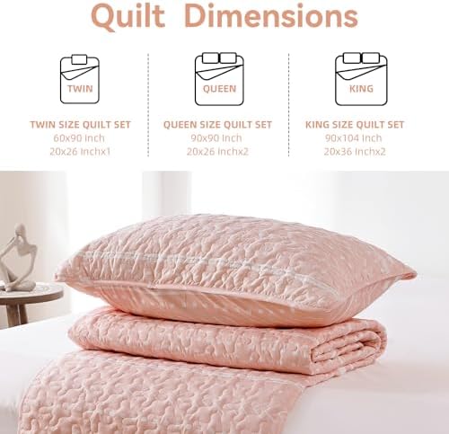 JANZAA Queen Size Quilt Set 3PCS Reversible