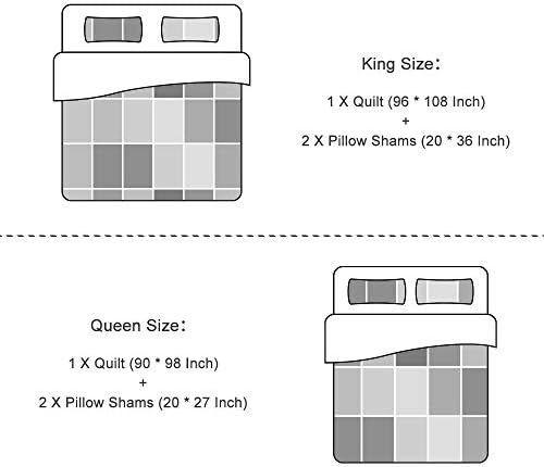 Travan 3-Piece Queen Quilt Set with Shams