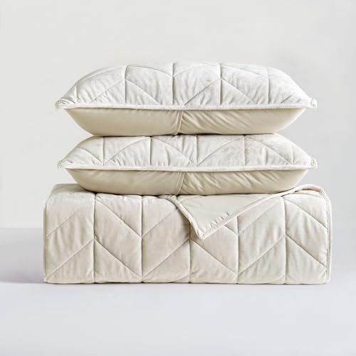 HUMESIIL Queen Quilt Bedding Set - Luxury Velvet Summer Quilt