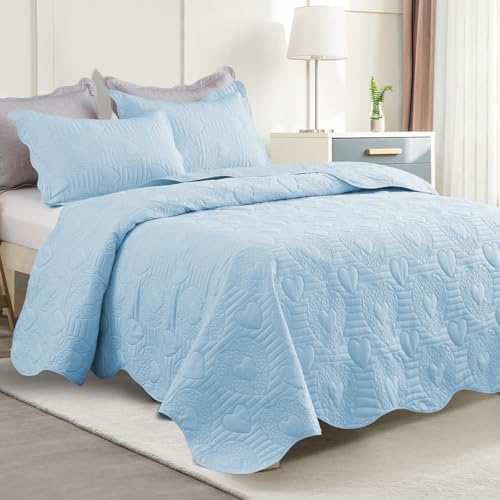 Auemtyn Light Blue Heart Pattern Quilt Set 1