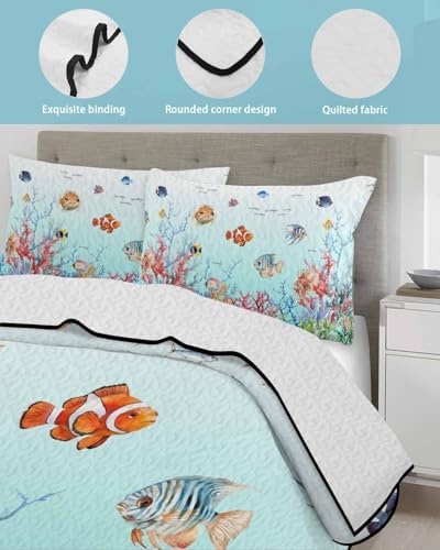 Stongaro Quilt Twin XL Size Comforter Set 3 Pieces