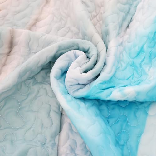 Blue Coastal Quilt Set Twin 2 Pieces Microfiber