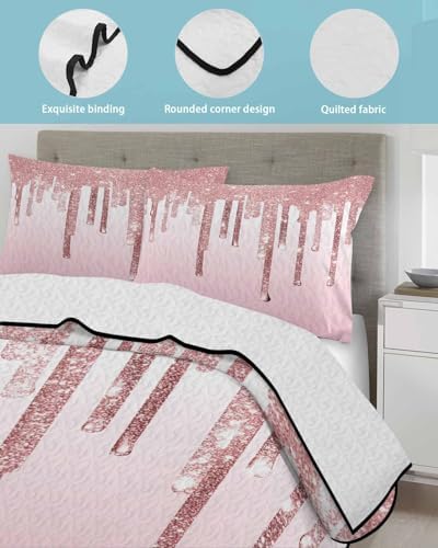 RisQiten Twin XL Quilt Set with Shams 1