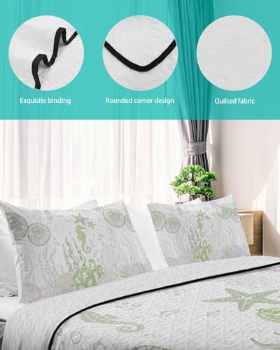 Coastal Sage Green Twin XL Quilt Set with 2 Pillow Shams
