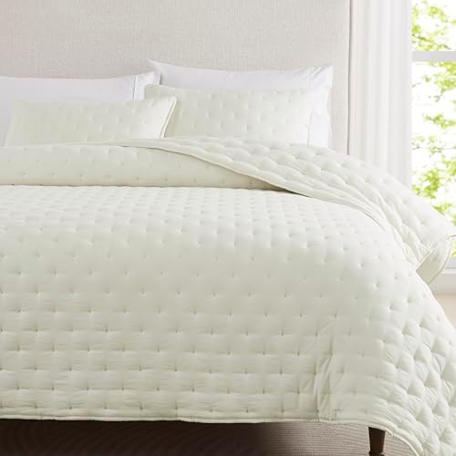 WDCOZY Ivory Cloud Quilt Twin Bedding Set