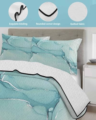 PRINT PICTURE ARTHOME Twin XL Blue Marble Quilt Set with Pillow Covers