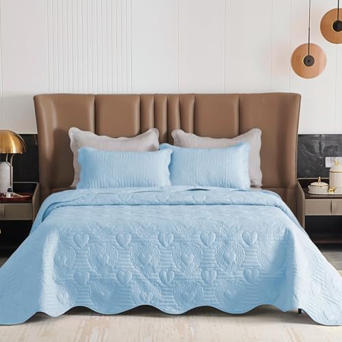 Auemtyn Light Blue Heart Pattern Quilt Set 1