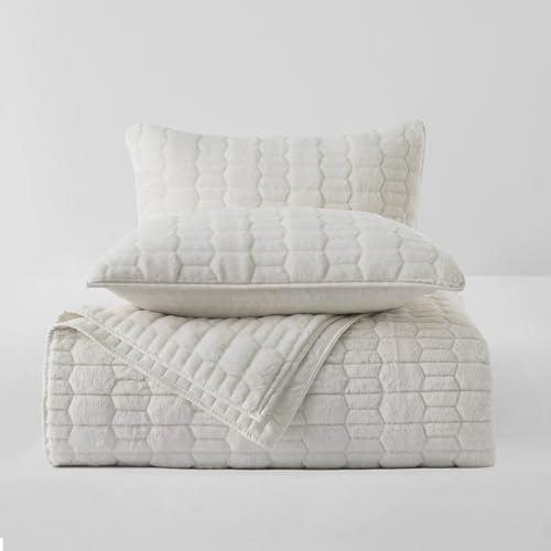 Wonderful Faux Fur Quilt Set Twin 2 Piece 1