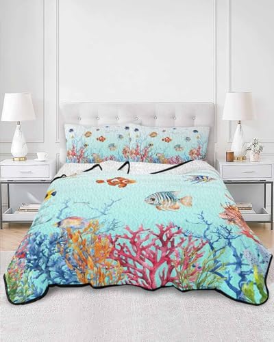 Stongaro Quilt Twin XL Size Comforter Set 3 Pieces