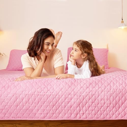 Exclusivo Mezcla Reversible Twin Quilt Set with Pillow Sham