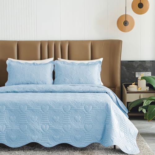 Auemtyn Light Blue Heart Pattern Quilt Set 1