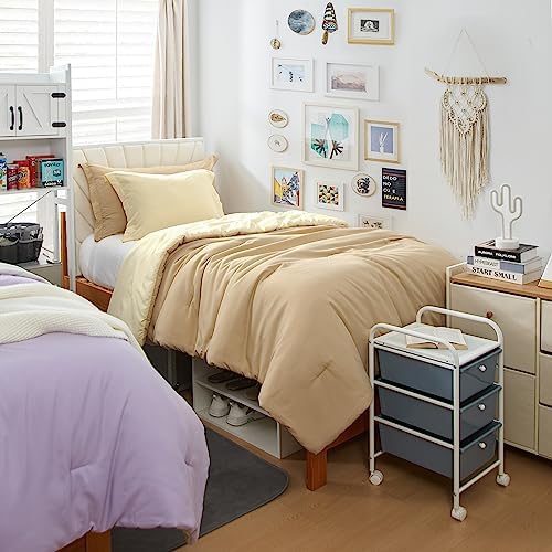 DormCo Cozy College Comforter Set - Twin XL MarzipanRutabaga