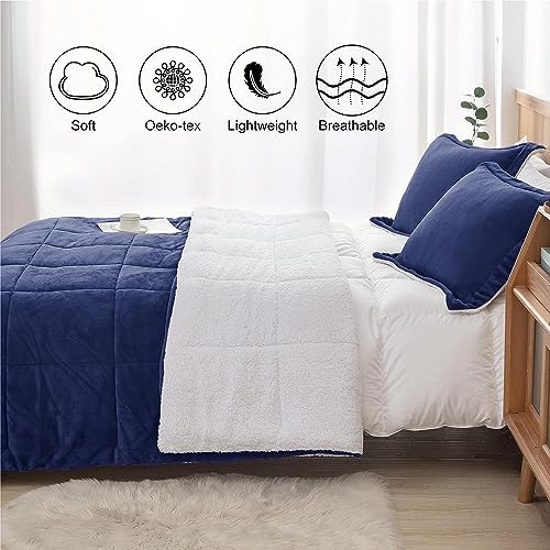 Seward Park Navy Blue Sherpa Comforter Set Twin XL