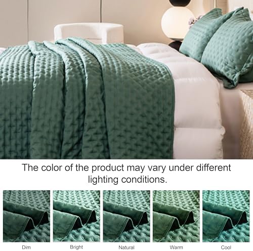 DOWNCOOL Green Twin Quilt Set with Pillow Sham 1