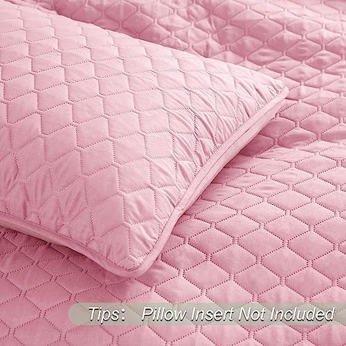 Exclusivo Mezcla Reversible Twin Quilt Set with Pillow Sham