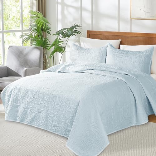 Siyaluens Light Blue Queen Quilt Set with 2 Pillow Shams