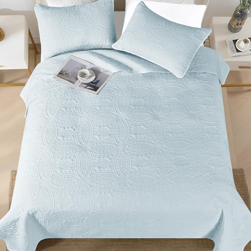 Siyaluens Light Blue Queen Quilt Set with 2 Pillow Shams