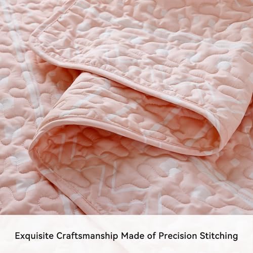 JANZAA Queen Size Quilt Set 3PCS Reversible