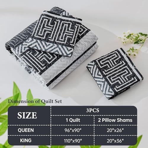 DJY Striped Quilt Set King Size 3 Pcs Black White