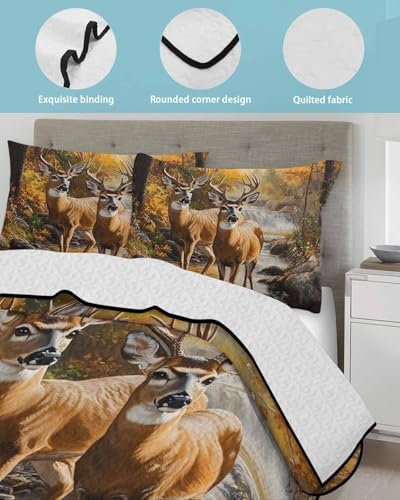 RisQiten Twin XL Quilt Bedding Set 3 Piece Reversible