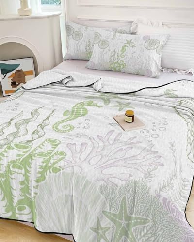 Coastal Sage Green Twin XL Quilt Set with 2 Pillow Shams