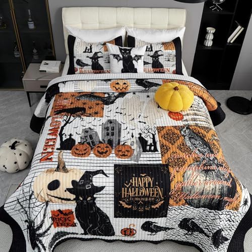 Cmfshape Halloween Quilt Set Queen Size Black Reversible
