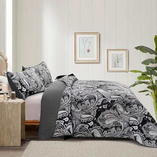 DJY Paisley Quilt Set King Size 3 Pieces