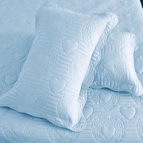 Auemtyn Light Blue Heart Pattern Quilt Set 1