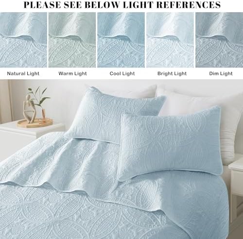 Siyaluens Light Blue Queen Quilt Set with 2 Pillow Shams
