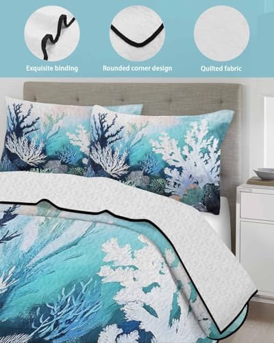TocaHome Summer Quilt Twin XL 68x98 Inch Set