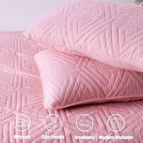 Whale Flotilla Pink Queen Size Quilt Set with 2 Pillow Shams
