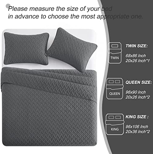 Exclusivo Mezcla Soft Quilt Set Twin Size