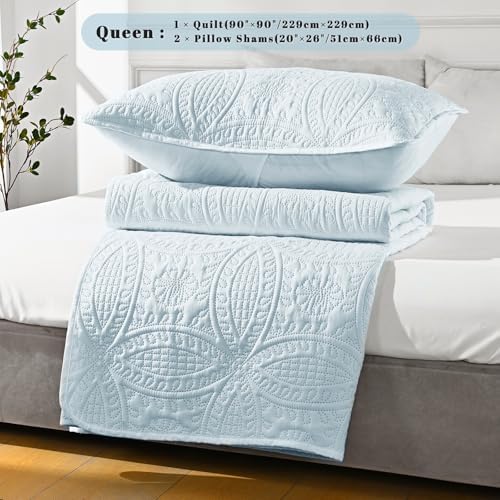 Siyaluens Light Blue Queen Quilt Set with 2 Pillow Shams