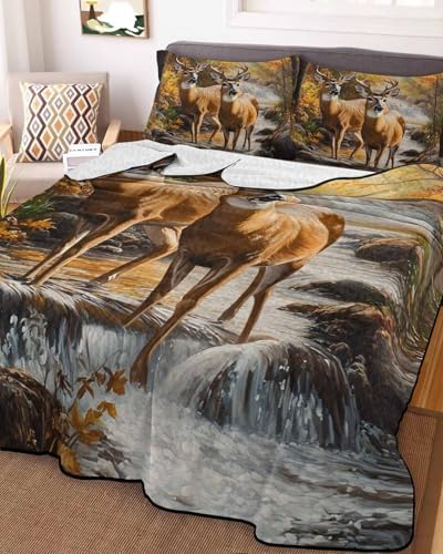RisQiten Twin XL Quilt Bedding Set 3 Piece Reversible