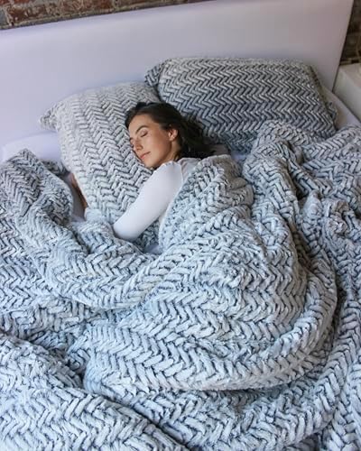 Byourbed Cozy Peaks Chevron Frosted Navy Comforter Set