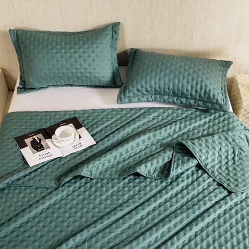 DOWNCOOL Green Twin Quilt Set with Pillow Sham 1