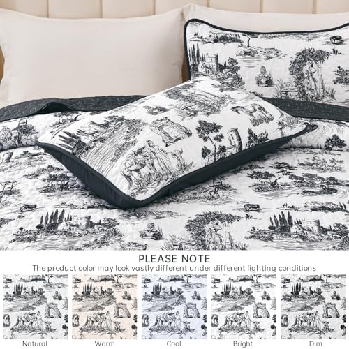 Drucon Black Farmhouse Quilt Set for King Size