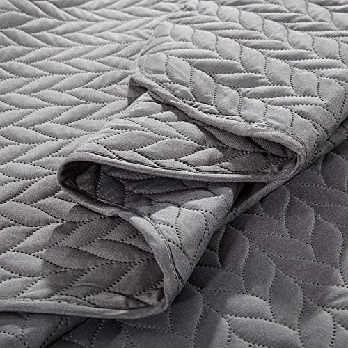 MOONLIGHT20015 Twin Quilt Set with Pillow Sham for All Seasons