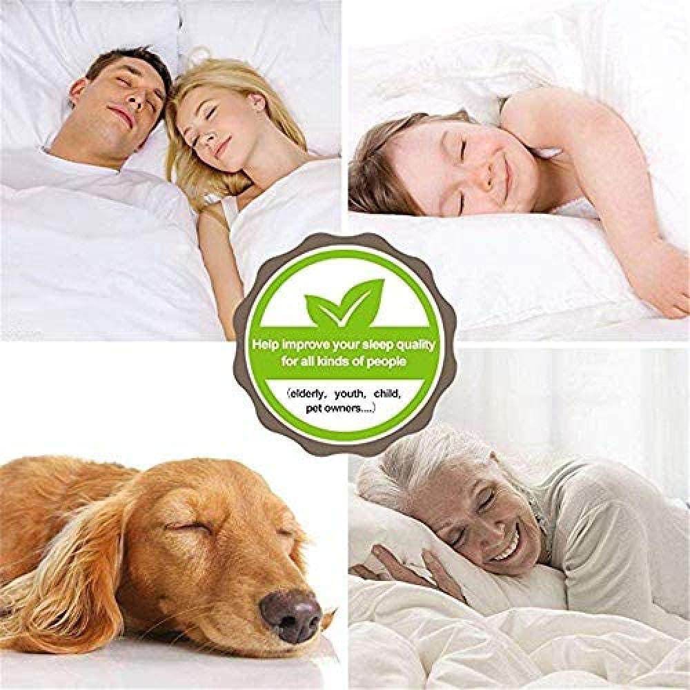 Empress Duvet Cover Set 4 Piece Cotton Blend Quilt Cover Bedding Set