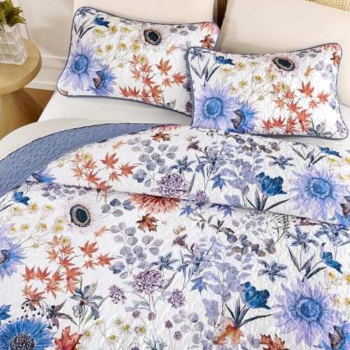 Yiran Blue Floral Queen Quilt Set 3-Piece