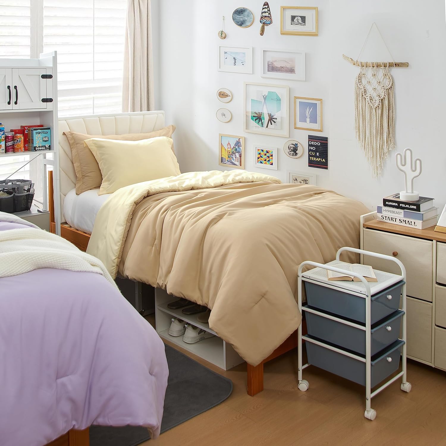 DormCo Cozy College Comforter Set - Twin XL MarzipanRutabaga