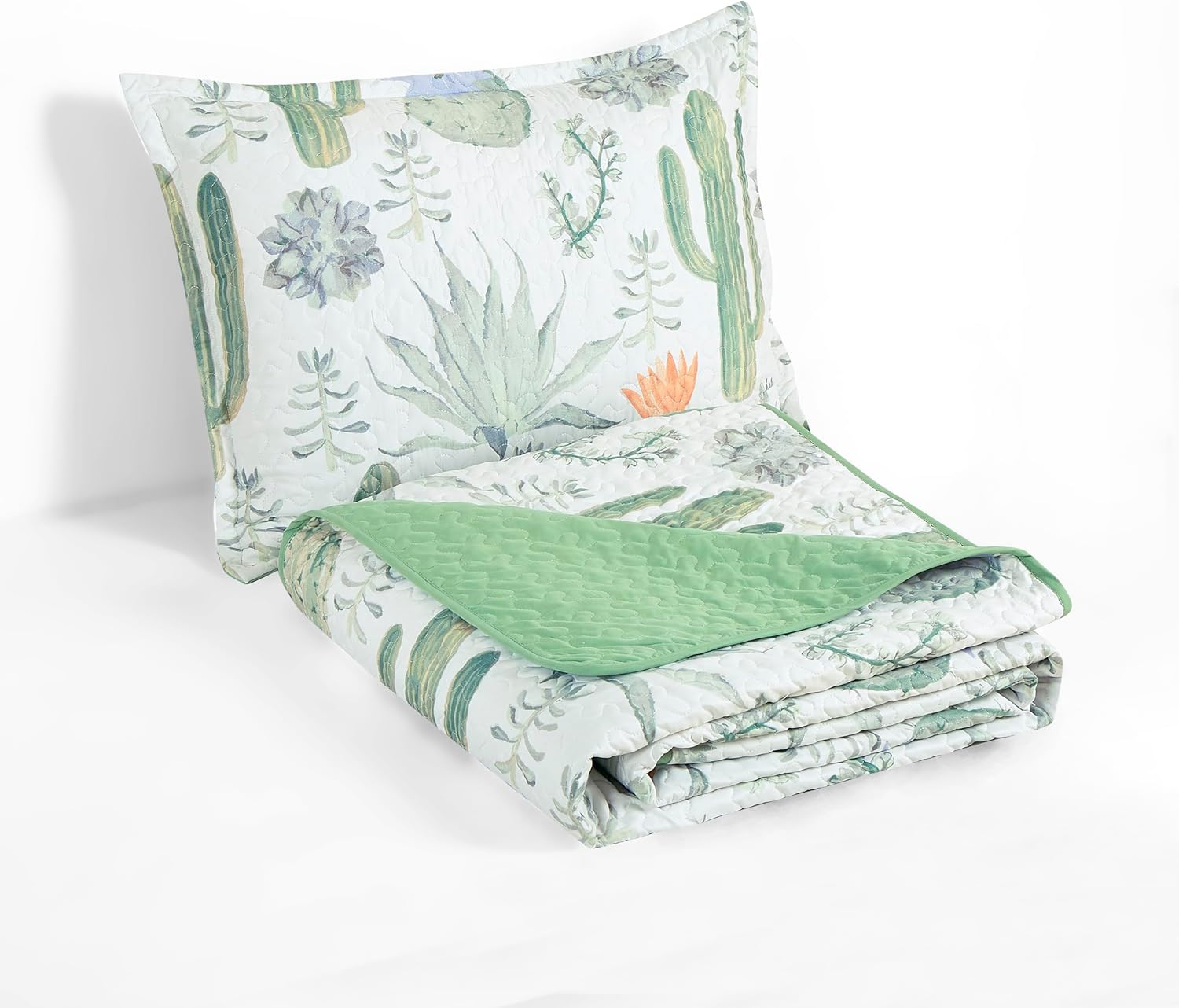 Chezmoi Gregory 2-Piece Quilt Set - Green Blue Cactus Print
