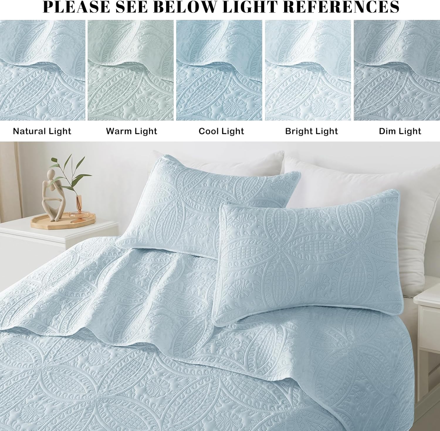 Siyaluens Light Blue Queen Quilt Set with 2 Pillow Shams